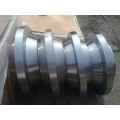 Aço inoxidável aço 316L/304L, forjada, Flange de ancoragem